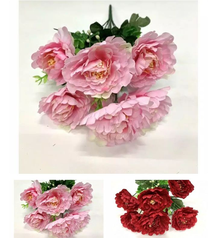 7 Kuntum European rose Gardenia 8 cm import (70278)