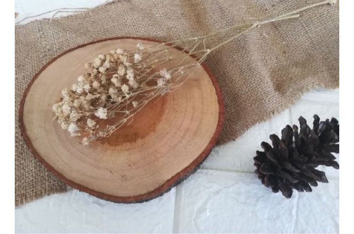 babysbreath kering