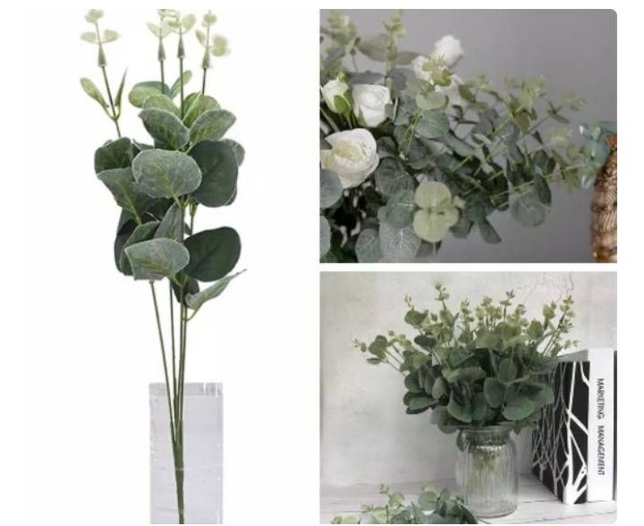 BUKET DAUN DOLAR EUCALYPTUS 4 CABANG 