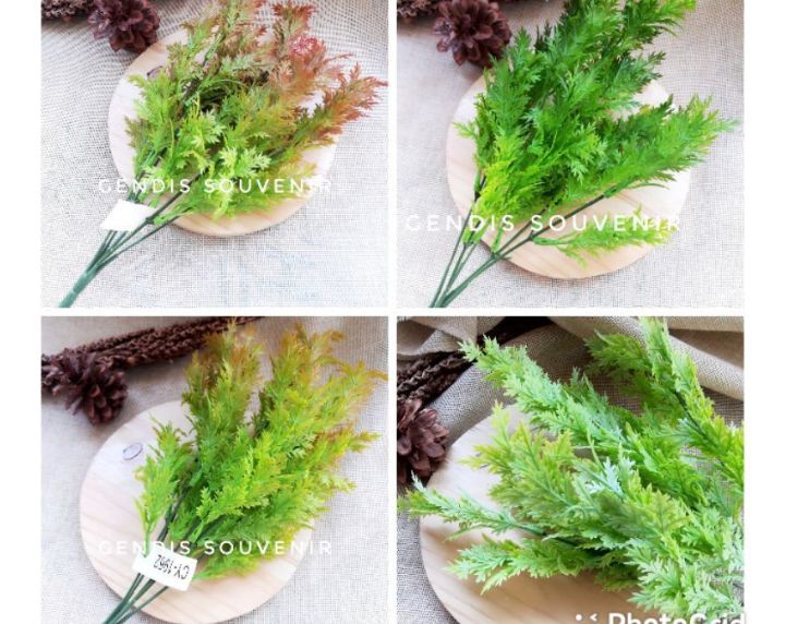 Buket Daun fern pakis 5 cabang - CY1962