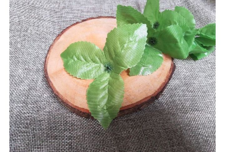 Daun kain kaku hijau muda 