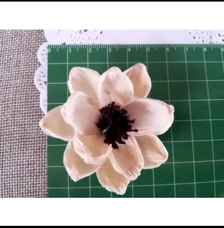 klobot jagung bleaching 5-6cm