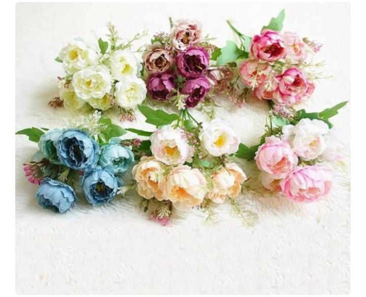 NEW BUNGA GARDENIA PUTIK IMPORT 