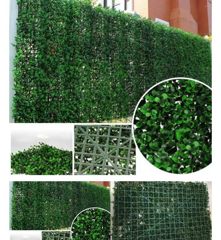 Rumput find love PAGAR rumput daun dolar 