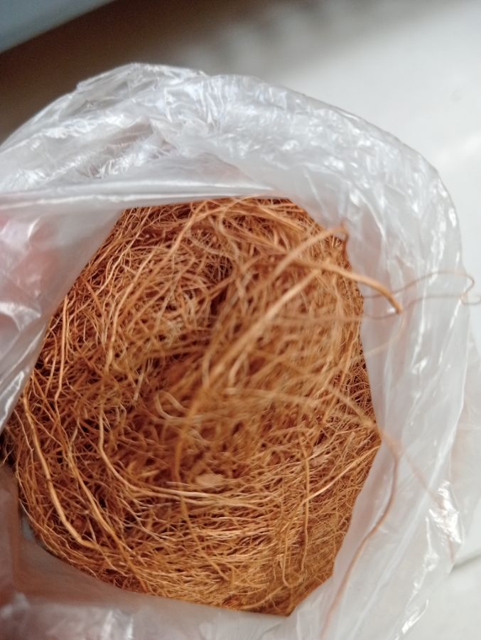 Serat kelapa