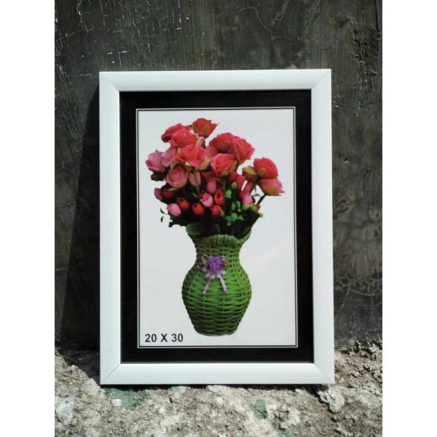 Pigora / Frame Foto 12R