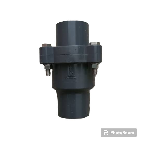 CHECK VALVE KDJ TAIWAN ( AW TEBAL ) 1 ( PEER / SPRING )