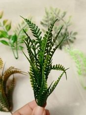 RUMPU DAUN / FILLER BUNGA PAKIS MINI 