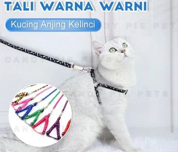 Rantai Panjang Kucing