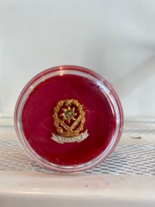 Pin IPASPI Putih Peniti Kecil PREMIUM