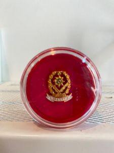Pin IPASPI Putih Magnet Kecil PREMIUM