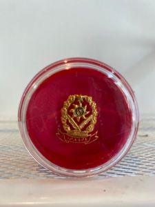Pin IPASPI Merah Peniti Kecil PREMIUM