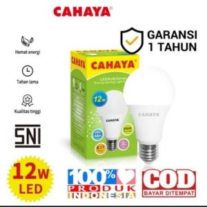 LED CAHAYA 12W 