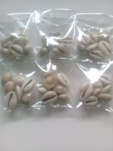 Kewuk kerang