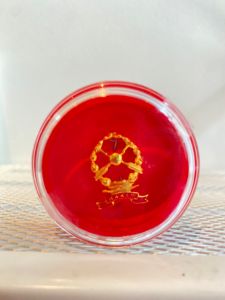 Pin Hakim Merah Peniti Kecil