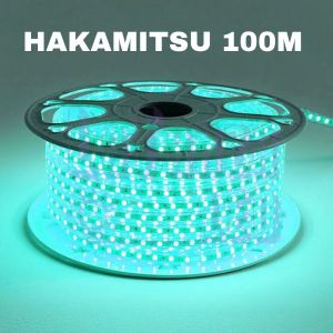 LAMPU SELANG 100M PANALED