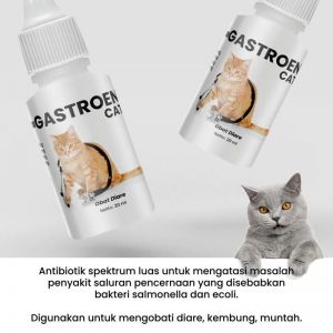 Obat Diare Kucing