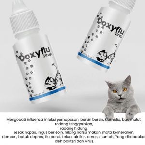 Obat Flu Kucing