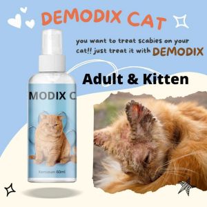 Obat Jamur Kucing