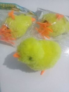 Ayam putar kecil