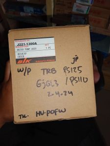 WATER PUMP TRB PS125/110  J221-1300A JP