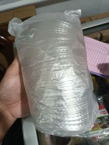 Tutup cup cembung