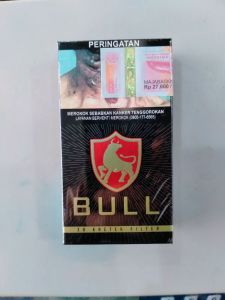 BULL