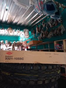 RADIATOR RAGASA 3321-1055C