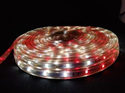 LAMPU SELANG MERAH PUTIH 7 M MUXINDO