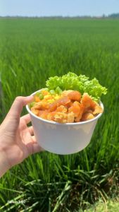 Rice Bowl Chicken Popers Black Papper