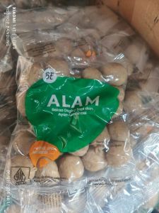 Baso Alam BE isi 25