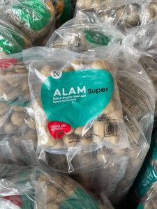 Baso Alam BI isi 50