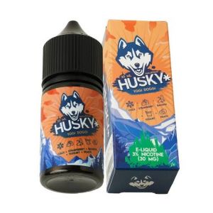 Husky yoggi doggi