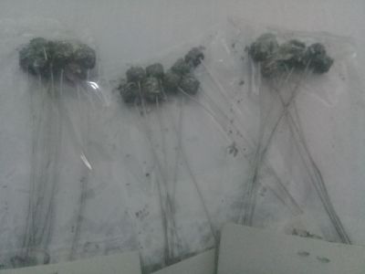 Kembang api obor