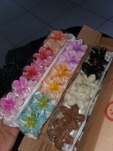Jedai kamboja viral ukuran 6cm