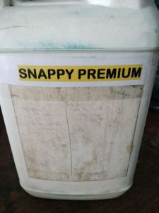 Snappy premium. Bibit senepi. Senapi premium 