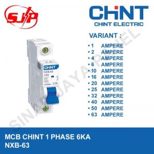 MCB CHINT 25A 1 PHASE