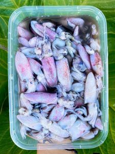 Cumi Box 450gr