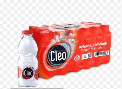 CLEO MINI