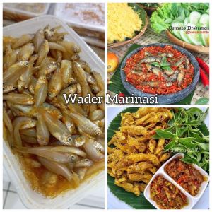 Wader Marinasi
