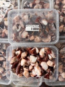 Gurita potong