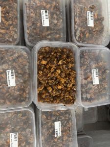Kerang dara kupas