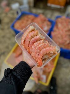 Udang Argentina