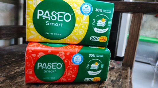 Paseo Besar Smart 500