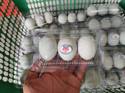 Telur Asin isi 3