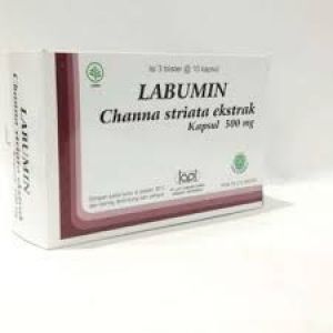 LABUMIN 500MG