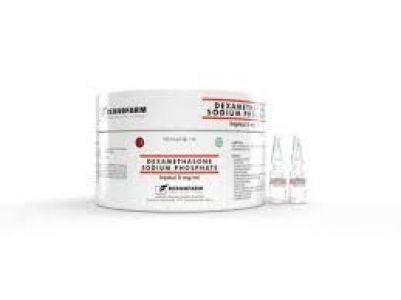 DEXAMETHASONE INJEKSI