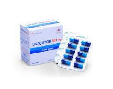 LINCOMYCINE 500MG OGB INDOFARMA