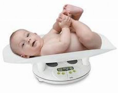 TIMBANGAN BAYI