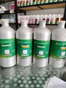 WinkaMels ( TFI )